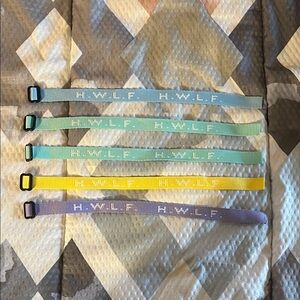 Colorful Adjustable Dog Collars